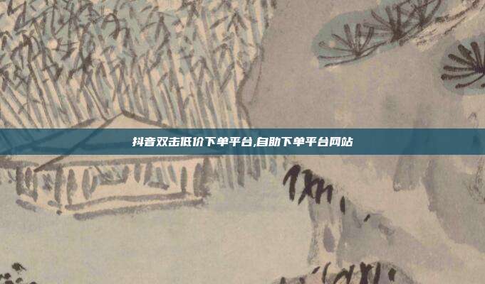 抖音双击低价下单平台,自助下单平台网站
