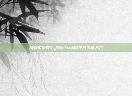 抖音买赞网站,抖音24小时平台下单入口