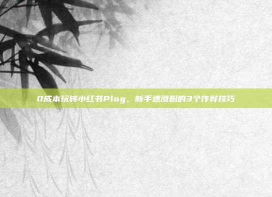 0成本玩转小红书Plog，新手速涨粉的3个作弊技巧