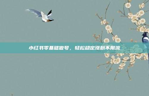 小红书零基础做号，轻松稳定涨粉不限流