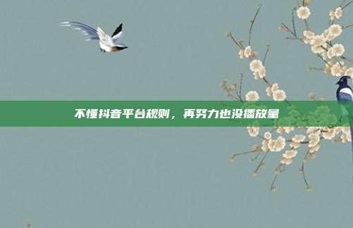 不懂抖音平台规则，再努力也没播放量