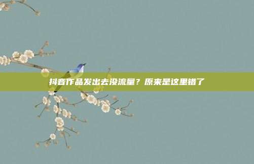 抖音作品发出去没流量？原来是这里错了