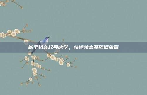 新手抖音起号必学，快速拉高基础播放量