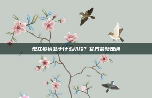 现在疫情处于什么阶段？官方最新定调