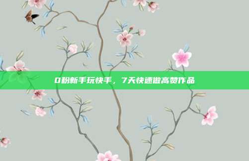 0粉新手玩快手，7天快速做高赞作品