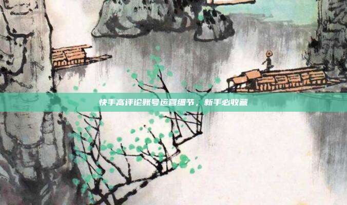快手高评论账号运营细节，新手必收藏