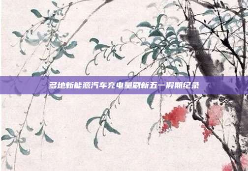 多地新能源汽车充电量刷新五一假期纪录