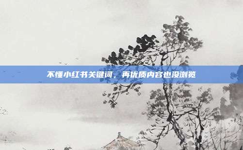 不懂小红书关键词，再优质内容也没浏览
