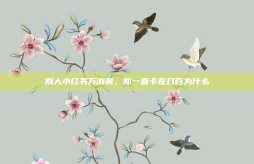 别人小红书万浏览，你一直卡在几百为什么