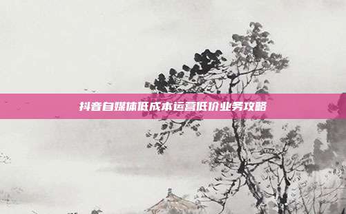 抖音自媒体低成本运营低价业务攻略