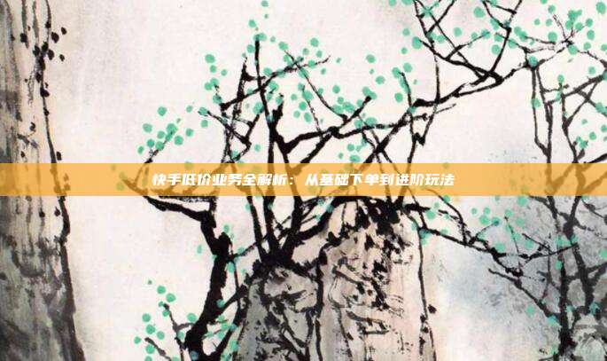 快手低价业务全解析：从基础下单到进阶玩法