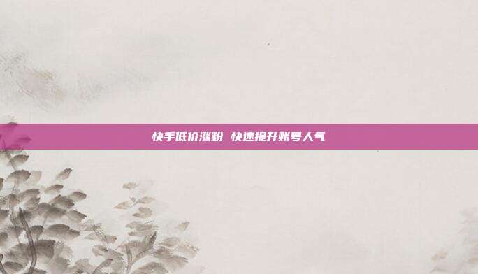 快手低价涨粉 快速提升账号人气
