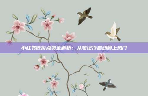 小红书低价点赞全解析：从笔记冷启动到上热门