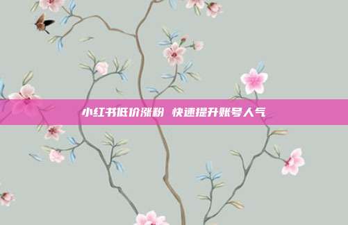 小红书低价涨粉 快速提升账号人气