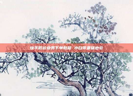 快手低价业务下单教程 小白零基础也会