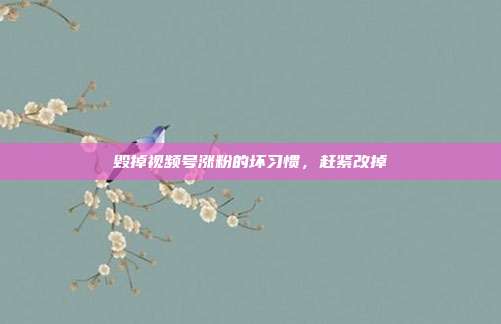 毁掉视频号涨粉的坏习惯，赶紧改掉