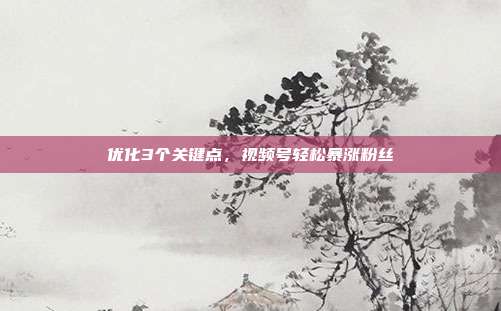 优化3个关键点，视频号轻松暴涨粉丝