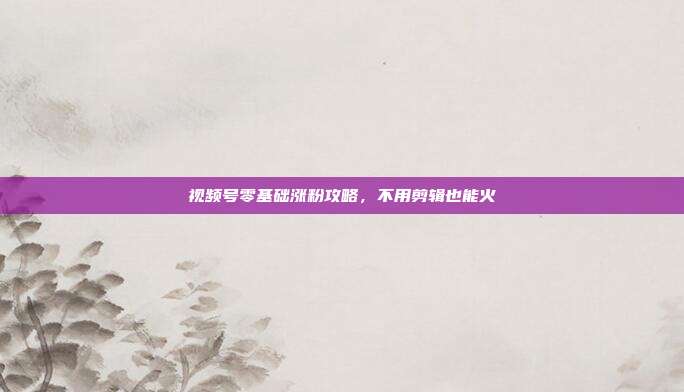 视频号零基础涨粉攻略，不用剪辑也能火