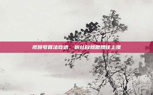 视频号算法吃透，粉丝自然蹭蹭往上涨
