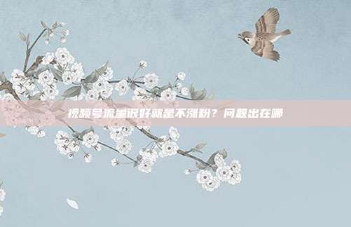 视频号流量很好就是不涨粉？问题出在哪