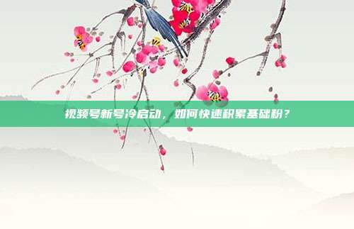 视频号新号冷启动，如何快速积累基础粉？