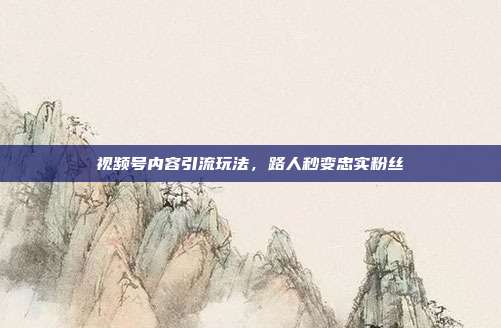 视频号内容引流玩法，路人秒变忠实粉丝