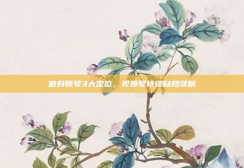 做好账号3大定位，视频号持续自然涨粉