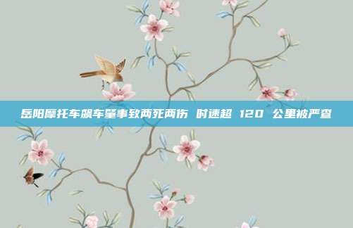 岳阳摩托车飙车肇事致两死两伤 时速超 120 公里被严查