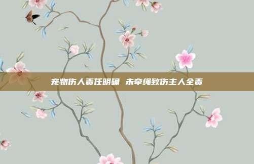 宠物伤人责任明确 未牵绳致伤主人全责
