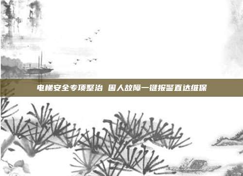 电梯安全专项整治 困人故障一键报警直达维保