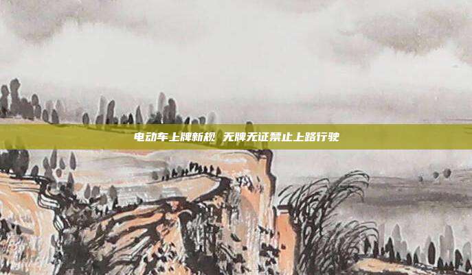 电动车上牌新规 无牌无证禁止上路行驶