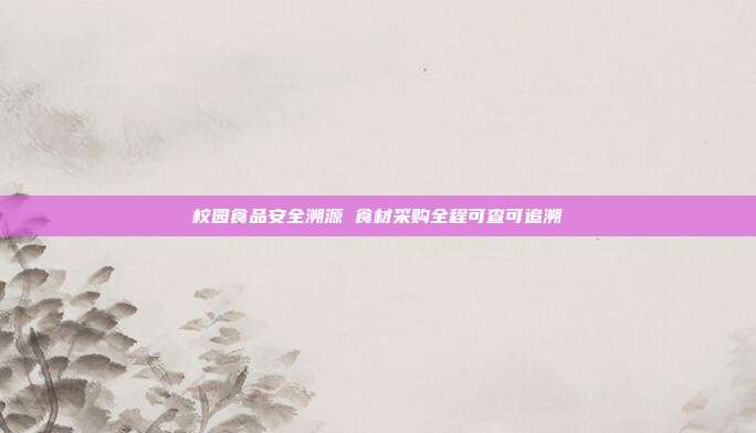 校园食品安全溯源 食材采购全程可查可追溯