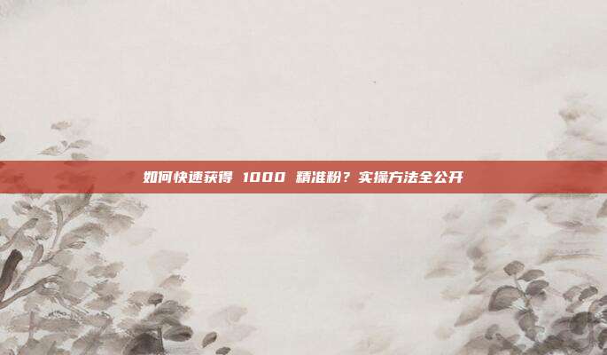 如何快速获得 1000 精准粉？实操方法全公开