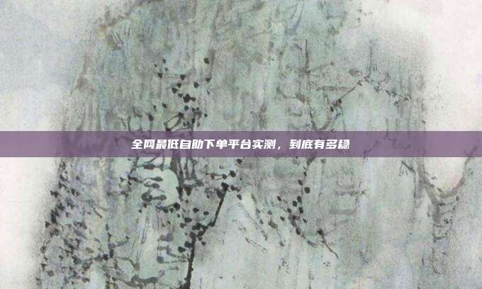 全网最低自助下单平台实测，到底有多稳