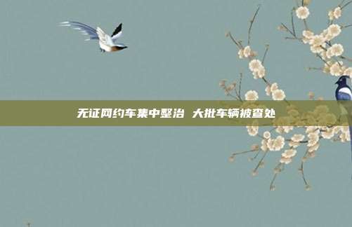 无证网约车集中整治 大批车辆被查处