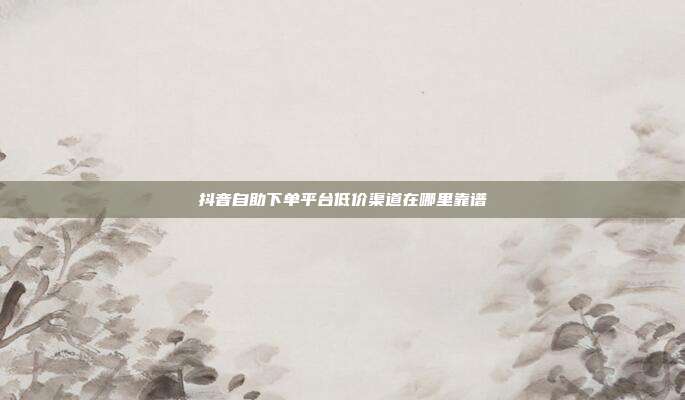 抖音自助下单平台低价渠道在哪里靠谱