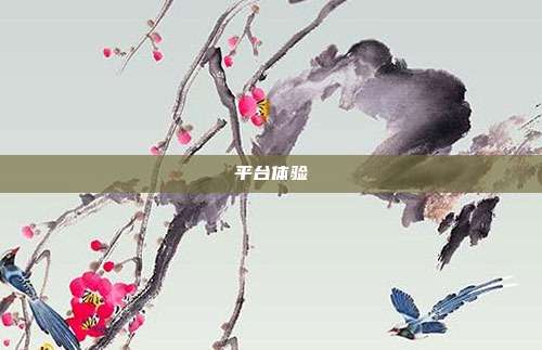 平台体验