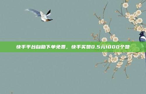 快手平台自助下单免费，快手买赞0.5元1000个赞