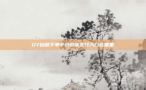 DY自助下单平台微信支付入口在哪里