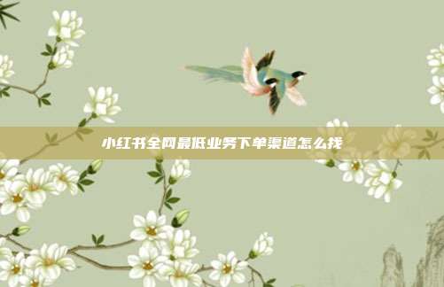 小红书全网最低业务下单渠道怎么找