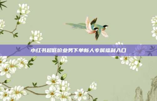 小红书超低价业务下单新人专属福利入口