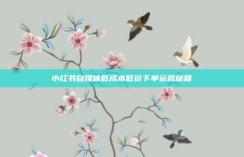 小红书自媒体低成本低价下单运营秘籍