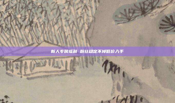 新人专属福利 粉丝稳定不掉低价入手