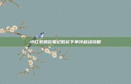 小红书爆款笔记低价下单冷启动攻略