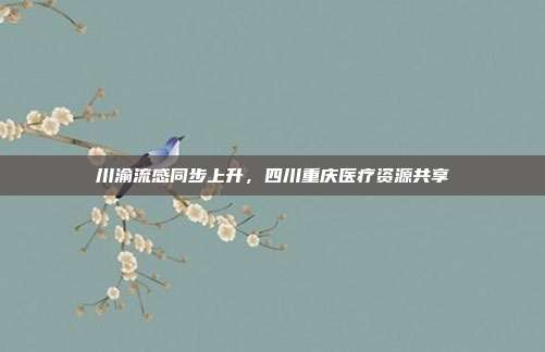川渝流感同步上升,四川重庆医疗资源共享