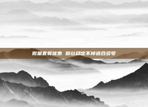 批量套餐优惠 粉丝稳定不掉适合多号