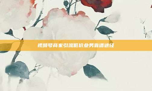视频号商家引流低价业务靠谱途径