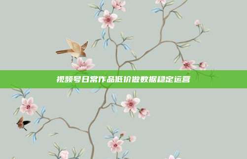视频号日常作品低价做数据稳定运营