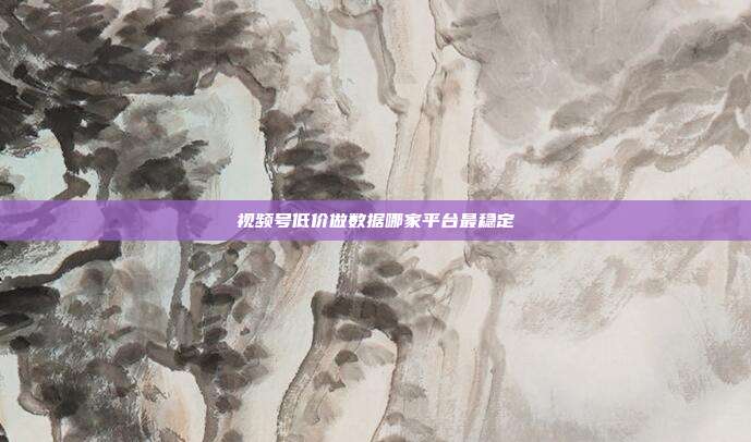 视频号低价做数据哪家平台最稳定