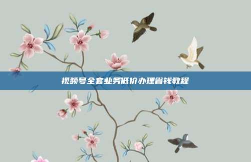 视频号全套业务低价办理省钱教程